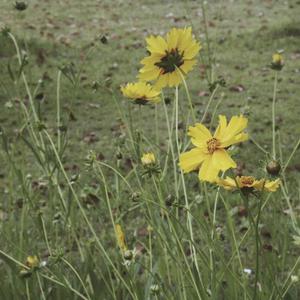 国产精品无码一区二区在线观一
