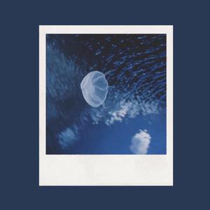 国产精品无码一区二区在线观一
