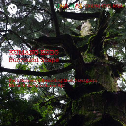 国产精品无码一区二区在线观一
